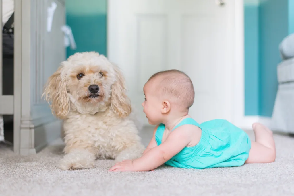 Include the family pet in your baby photos